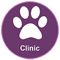 pet behavior clinic