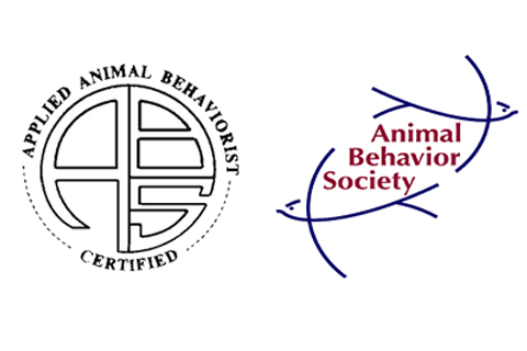 Certified Applied Animal Behavior Animal Behavior Society