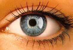 A woman’s blue eye with RGP lenses and long eye lashes.